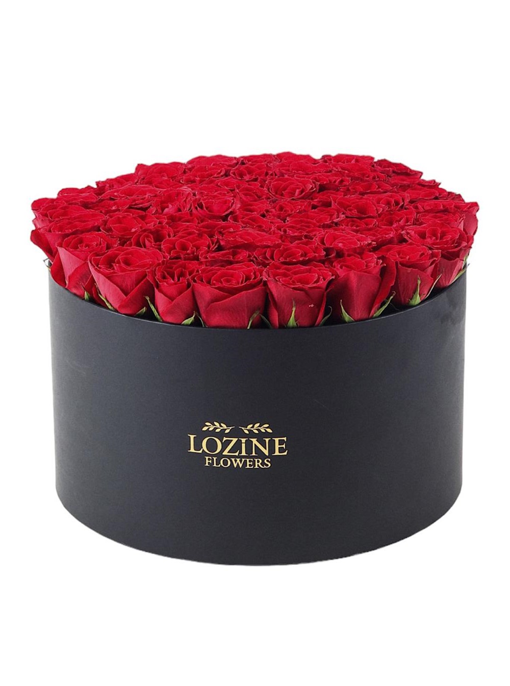 Dev Siyah Kutuda Kırmızı Güller