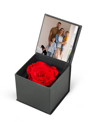 Kapaklı Kutuda Solmayana Kırmızı Gül